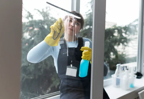 Nettoyage de vitres intérieures et extérieures à Saint-Jean-de-Beugné